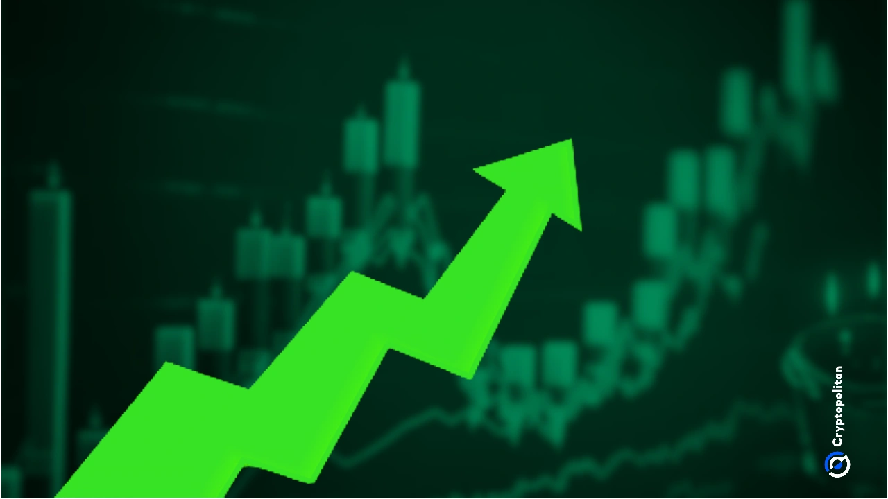 Robinhood股价达到历史新高,重点关注加密货币,而非标准普尔500指数