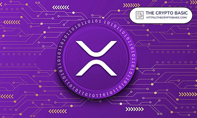15年后，5000美元和15000美元的XRP可能价值多少？