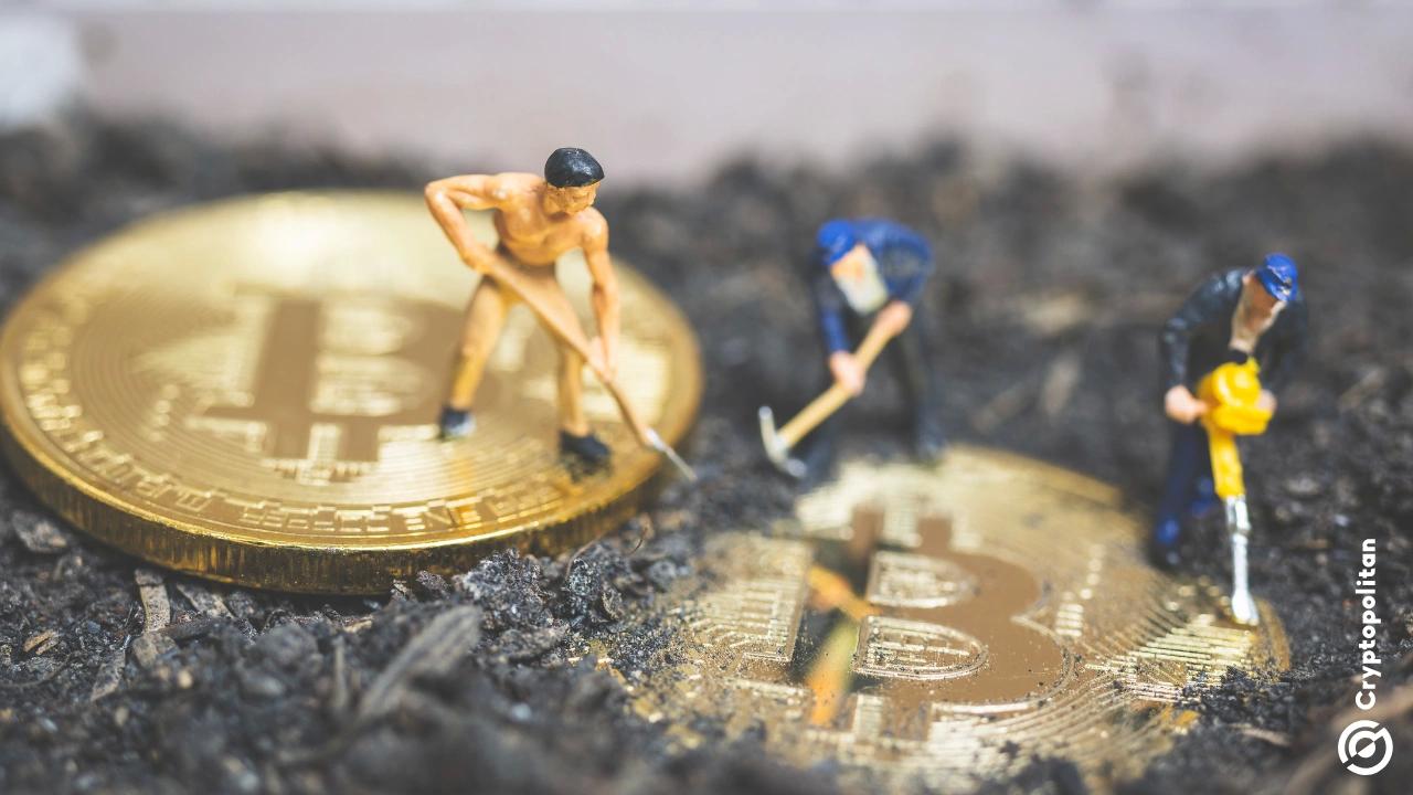 BIT Mining vows to provide 0 million in SOL funding, triggers alert