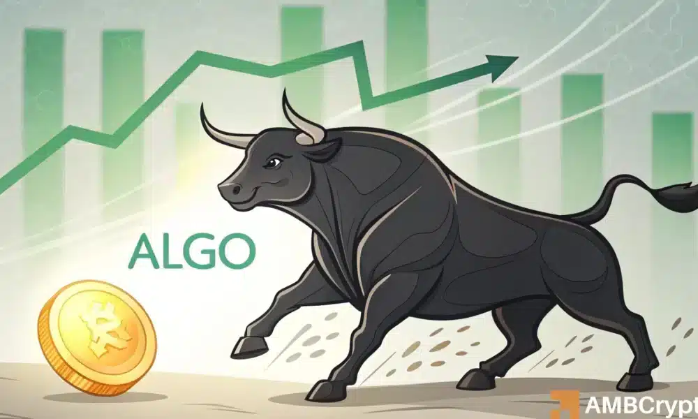 Why are traders still shorting ALGO despite Algorand\