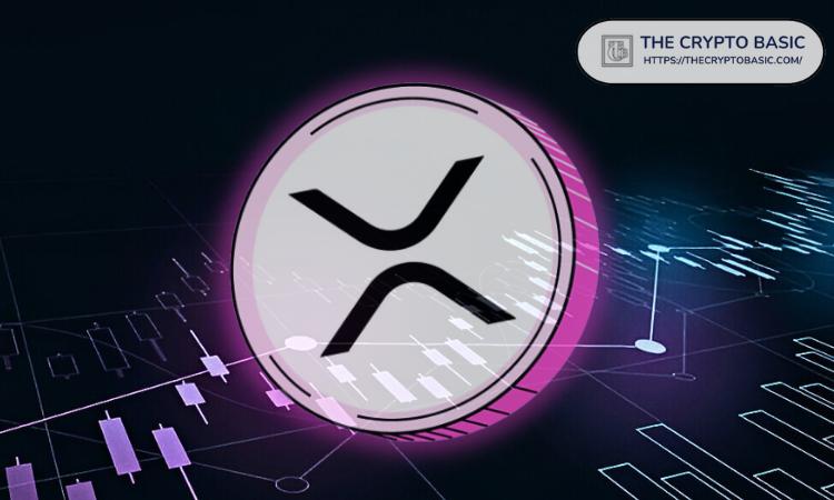 专家建议:如果您是加密货币新手,请考虑将所有资金投资于 XRP