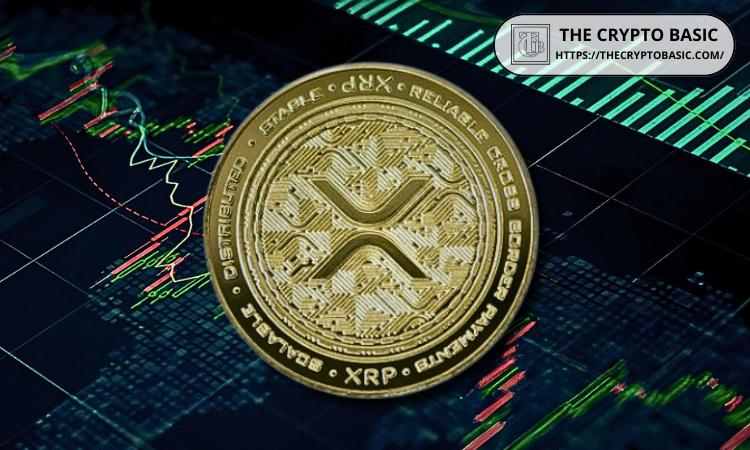 专家称拥有 XRP 的人已处于领先地位