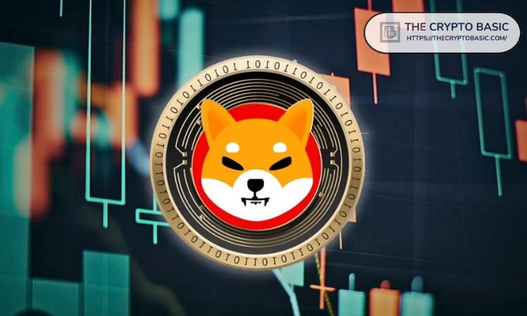市场专家分享考虑投资柴犬多头的方向