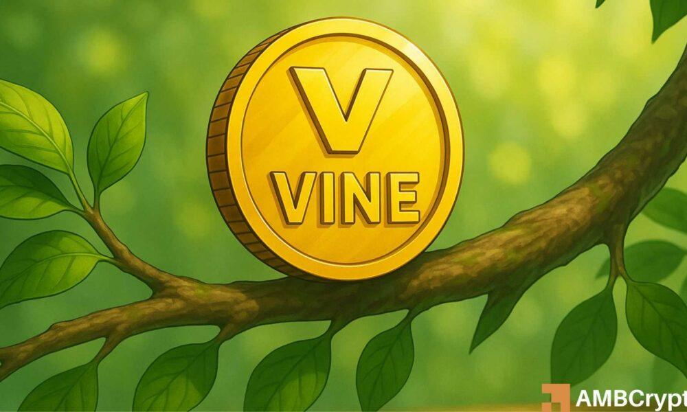 VINE 币价格趋势分析——埃隆·马斯克的最新动态和影响