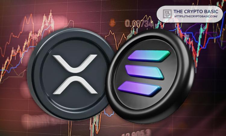 XRP vs Solana:ETF 合并上市,哪个将吸引更多资金?Bitwise 首席信息官和彭博分析师揭秘