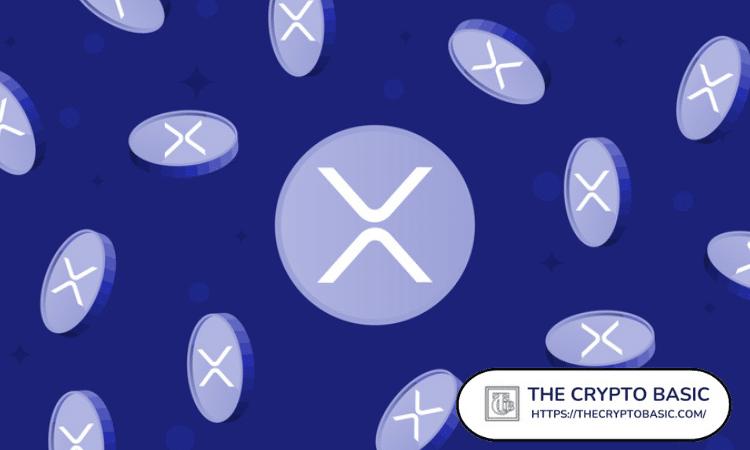 财务教练揭示XRP投资窍门，助您走向财务自由之路