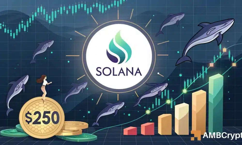 How Million Inflows in SSK ETF Boost Solana to 0 Price