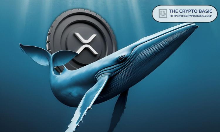 未知用户在未经授权的情况下将 17,841,869 XRP 转入 Coinbase:详细情况